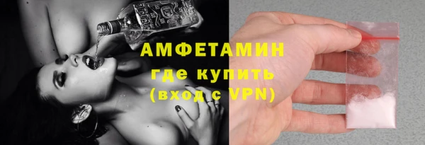 Альфа ПВП Горняк