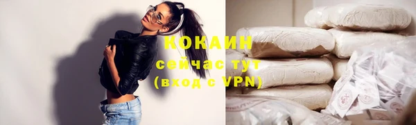 твердый Горнозаводск