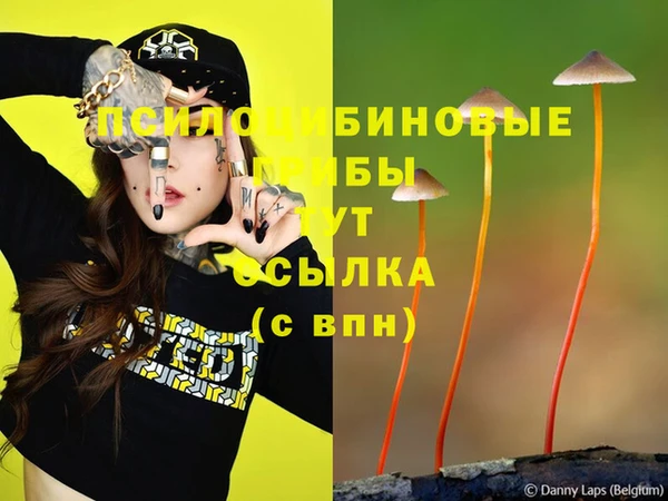 эйфоретик Дмитров