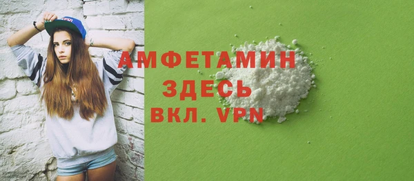 Альфа ПВП Горняк